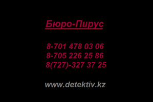 Детективное бюро-Пирус #49728