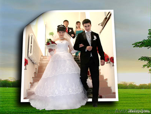 Фотограф, видеооператор, муз.аппаратура, тамада #63835