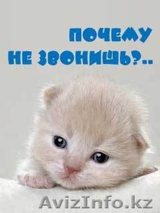 Сниму 1-2 комн.кв. в Караганде #63194