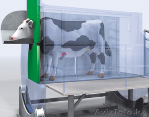 оборудование для мясной промышленности #65720