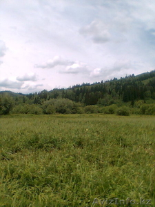 Продам мёд Восточно-Казахстанский #62269