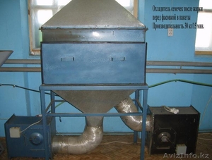 семечки подсолнечника жареные 