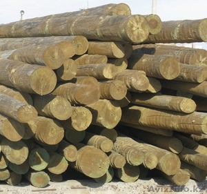 Опора ЛЭП деревянная пропитанная #62557