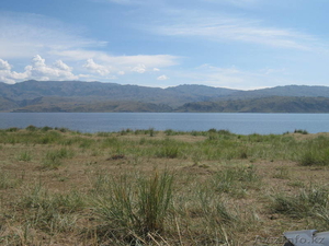 Участок 1 Га Бухтарминское водохранилище #77496