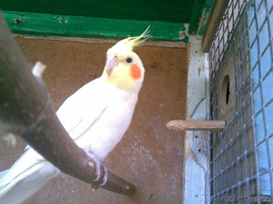 Мусабекова Анна Сергеевна,  anutka_1288_88@mail.ru,  2329942 #76540