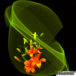 Видео-фотосъемка #80763