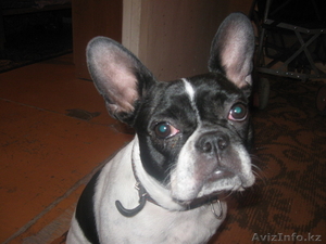 носатова саша ,  87003576068 #81115