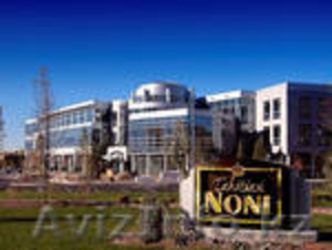 Предлагаю собственный бизнес с надёжным партнёром - компанией TNI #76243