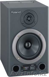 ROLAND ds 30a студийные мониторы #81325