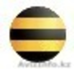 +77778659329  #89600