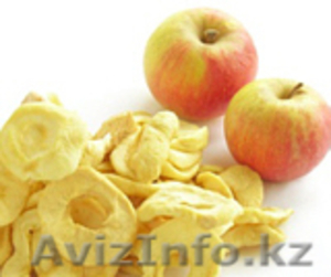 Линии для сушки овощей,  фруктов,  ягод,  грибов,  лука,  HANS BINDER комплектные «по #88190