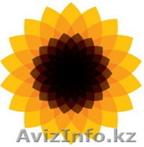 Семечки,  кондитерский подсолнечник  export #102140