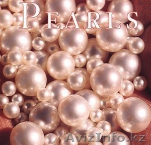 Равноправное партнёрство в новом бизнесе. #97718