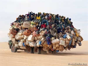 Продаю узбеков, киргизов (по 10 штук) разнорабочие                                #100161