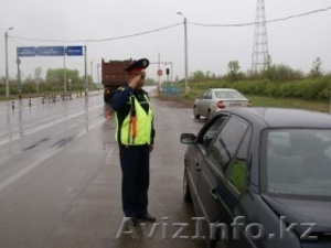 Трезвый водитель Агенство