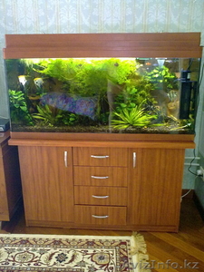 Продам супер-аквариум в полном комплекте #112698