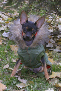 8 702  354 67 89 #113523