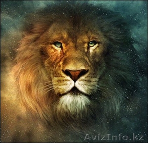 Сухое молоко,  сливочное масло,  яичный порошок оптом - прямые поставки от произво #110582