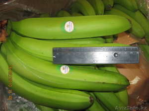 фрукты оптом от производителя #113970