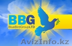 Нужны лидеры в компанию млм бизнеса #108618