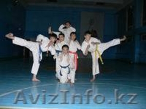 ШИНКИОКУШИН КАРАТЭ #106325