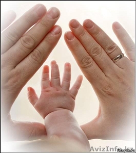 Ремонт и Обслужевание Компьютеров и ноутбуков #113344