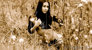 PHmonro Corporation #124225