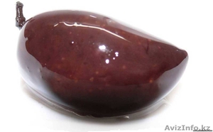 ТОО GoldenOlive #130965