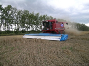 Очесывающая жатка Shelbourne #130634