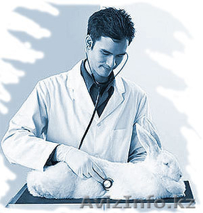 Ветеринарная помощь. Выезд на дом. Лечение,  хирургия,  вакцинации и прочее #131853