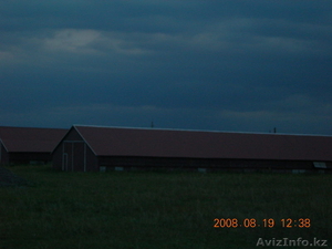 кирпичный завод $300000 #119561