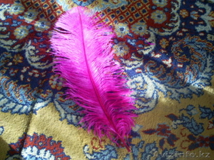 Перья страуса крашеные оптом #134982