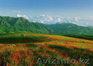 Экскурсии по Алматы #133769