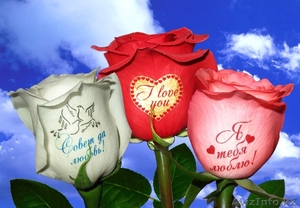 Цветы Цветы Цветы  #150838