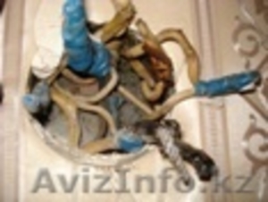 Есенбеков Дулат dulat_0303@mail.ru 87016832723 #135754