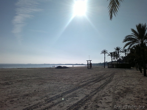 сдаю квартиры у моря на майорке #148442