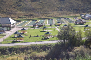 форель живую прямые поставки от производителя #143324