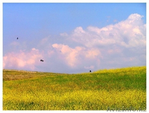 Земельный участок 3 Га Астана #69600