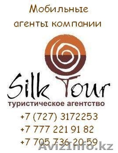 Туры,  Авиабилеты,  Ж/Д билеты,  Визы и т.д. #139890