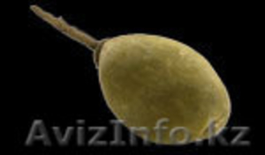 Баобаблайф,  очищение,  иммунитет,  красота и здоровье,  дополнительный доход #69434