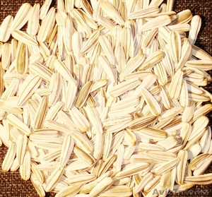 Семена подсолнуха белые и полосатые урожай 2010 #137357