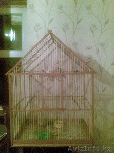 Продам клетку для канареек #155096