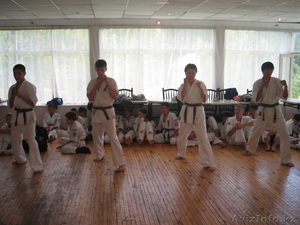 Ассоциация Каратэ Киокушин им. шихана Говарда Коллинза #149069