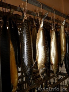 Оборудование для мясо-рыбопереработки #145320