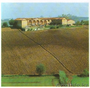 Аграрное предприятие по производству вина и мяса  #137666