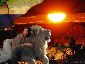 Лучший подарок на любой праздник #139429