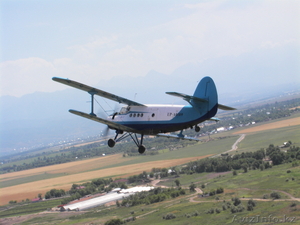 Полеты на мини-самолетах! АвиаИгра! Незабываемый подарок - полет! #139049