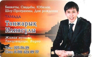 Интересное шоу программа,  тамада #142402