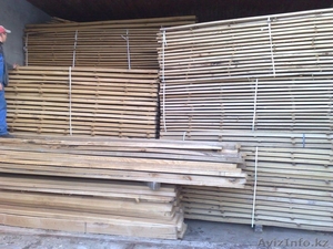 Бук,  доска и кругляк #180264