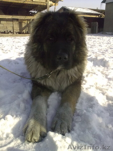 ssssssssssddddd #173555